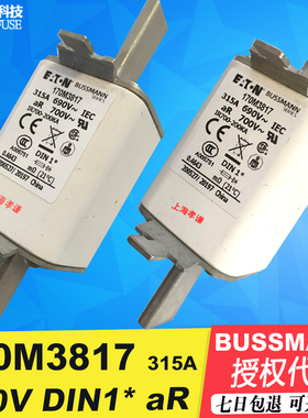 BUSSMANN保险丝170M3813-3814-3815-3816-3817-3818-3819 690Vac