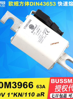 BUSSMANN快速熔断器170M3968-3969-3970 100A 125A 1000V KN/110