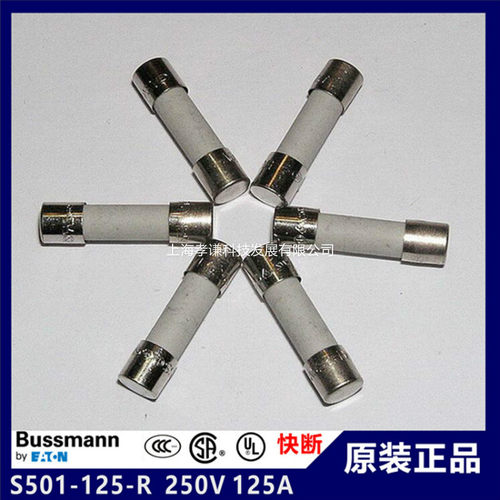 保险丝BUSSMANNS501-200-R