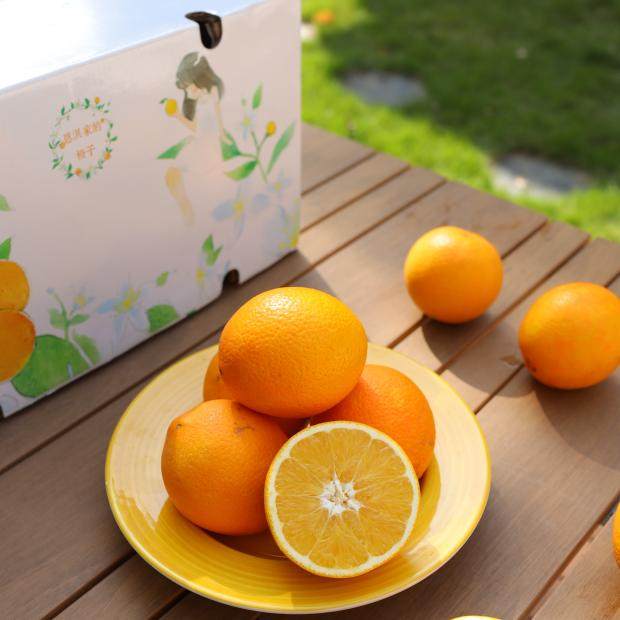 恩淇家的橙子 20斤 赣南脐橙鲜果