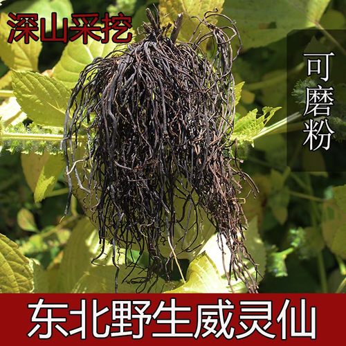 深山野生东北500g新货正品威灵仙