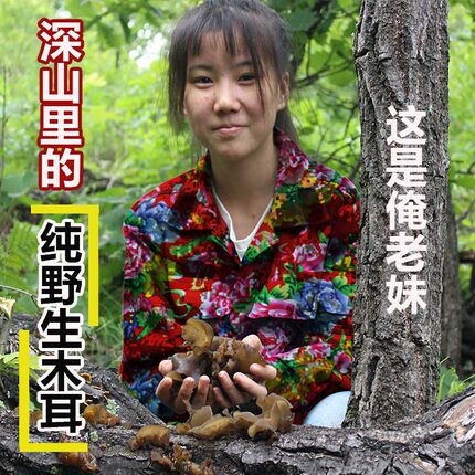 天然黑木耳散装野生木耳东北特产长白山特干货级500g软糯山秋木耳