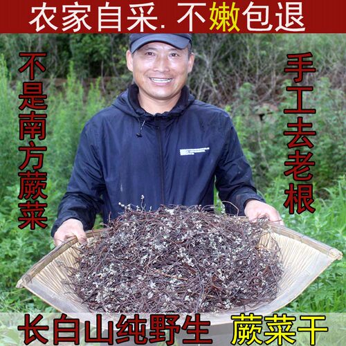 东北蕨菜干纯天然韩国新鲜野生