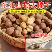 新货东北深山特产榛子仁大颗粒无硫无杂干货坚果零食