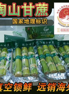 新鲜甘蔗正宗陶山甘蔗出口青皮绿皮果蔗真空包装孕妇水果手撕甘蔗