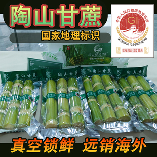 新鲜甘蔗正宗陶山甘蔗出口青皮绿皮果蔗真空包装孕妇水果手撕甘蔗