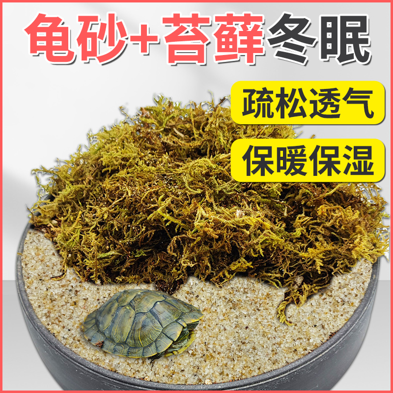 乌龟爬宠专用防寒保湿冬眠砂套装