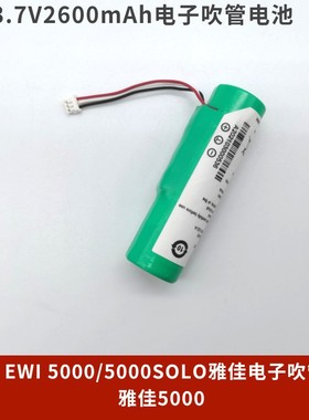 AKAI EWI 5000/5000SOLO雅佳电子吹管电池FPO-72-003-S电池充电器
