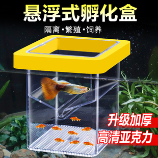 鱼缸孵化器浮式孔雀鱼繁殖盒小鱼小型鱼苗漂浮隔离盒母鱼孵化盒悬
