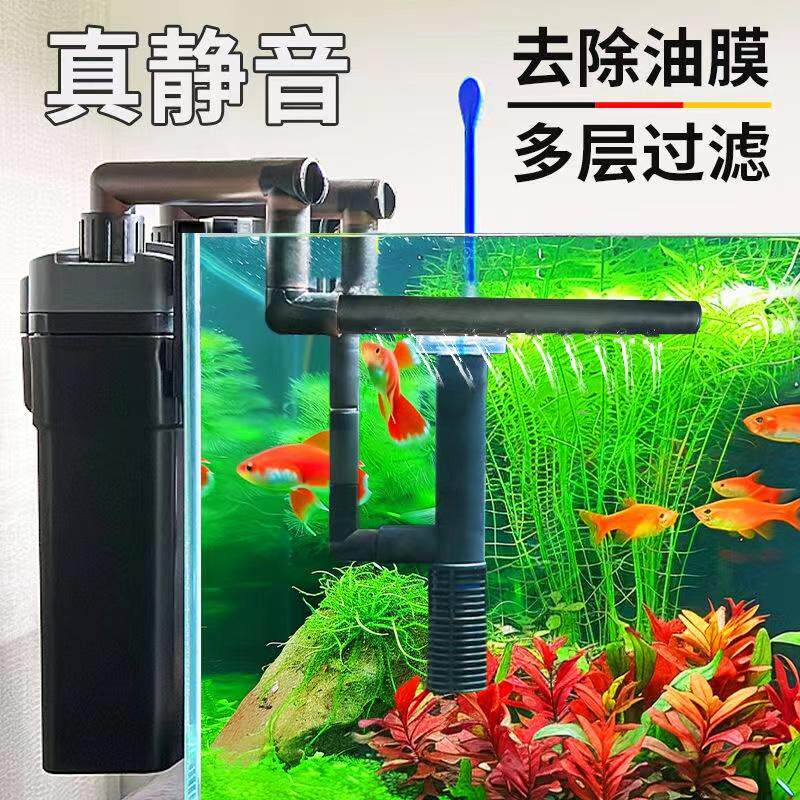 活体过滤桶胎生鱼森森