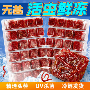 红虫冰冻赤红线虫六角恐龙精品鱼食丰年虾卵七彩神仙鱼观赏鱼饲料