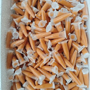 免孵化超浓丰年虾幼虫幼冰冻无水新鲜迷你鹦鹉观赏开口鱼食丰年虫