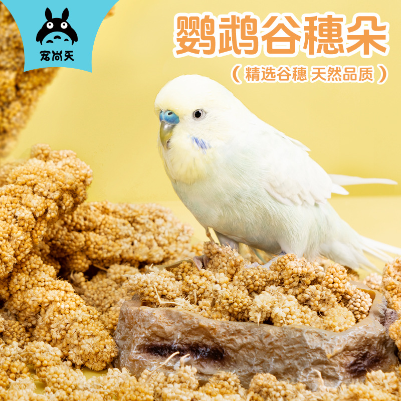 【鹦鹉鸟粮】零食云朵麦穗谷穗朵