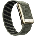 Gray Green [Gold Frame]