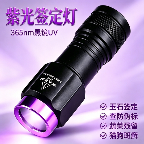大功率LED充电强光紫光灯