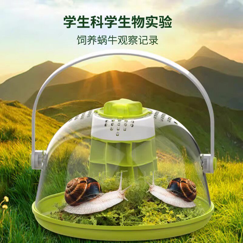 白玉蜗牛饲养盒观察箱探索活体大小宠物巨型儿童学生实验教学套装