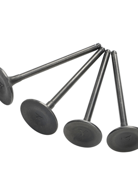 适用铃木 LT-A500F LT-A500X LT-A500XP LT-F500F 气门 一组4支