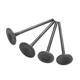 A500X A500F A500XP F500F 一组4支 适用铃木 气门