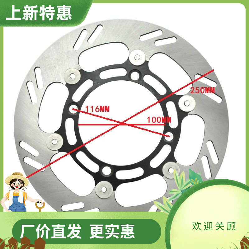 摩托车碟刹盘 KDX125/200/220/250/ KLX250 KLX300 刹车盘