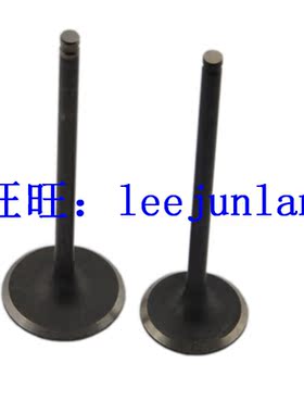 适用于铃木DR250 90-93 DR250S 90-92 DR250SE 93-95年 进排气门