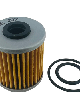 KX250F 04-18 KX250 X 19-22 KX450 19-22 KX450X 21-22 机油滤芯