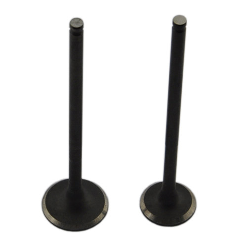 FZR400 1WG400 FZR250 1HX 3LN XV125/250 TTR250 进排气门 一付