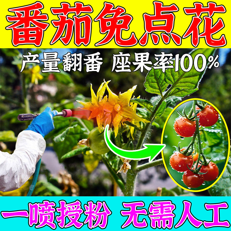 西红柿点花药番茄授粉保花喷花保果药防落果增产防裂专用叶面肥水