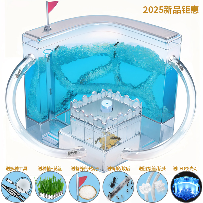 超大号蚂蚁工坊城堡生态巢活体小宠观察盒玩具别墅庄园弓背蚁后窝