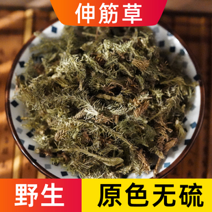 伸筋草中药材野生正品小伸筋草透骨草泡脚包精选农家无硫新货包邮
