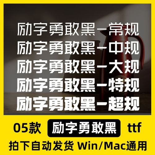 勇敢PS/格式励字包/简体字Procreate库字体AI/中文Mac黑Winttf