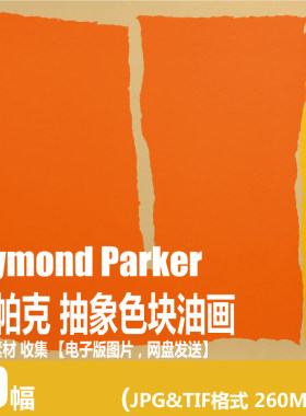 雷·帕克 Ray Parker Raymond Parker 电子画册 抽象色块油画素材