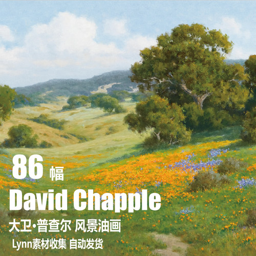 【美国】大卫·普查尔 David Chapple电子图片风景油画 Lynn素材