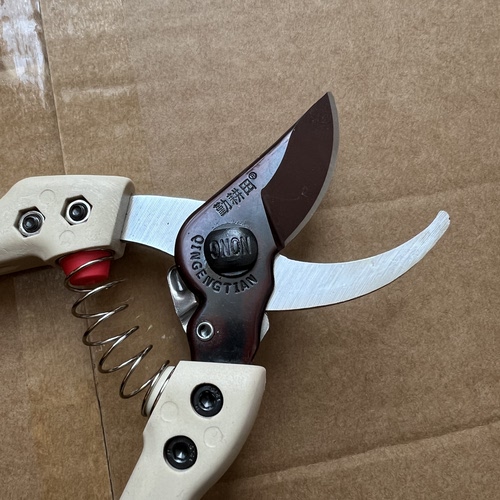 德国进口合金钢修剪树枝专用剪