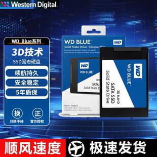 西部数据 SSD固态硬盘适用SATA3.0接口3D进阶高速读写 Blue蓝盘