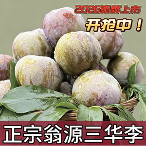 正宗韶关翁源三华李脆甜大蜜李子新鲜水果红心李子产地现摘现发