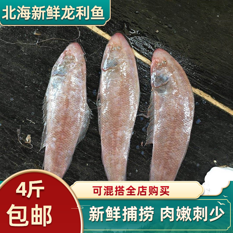 北海龙利鱼免邮新鲜冷冻鱼海鲜水产非巴沙鱼舌头鱼踏板鱼鲜活龙舌