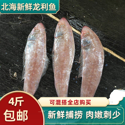 正宗龙利鱼肉质细嫩口感细腻顺丰