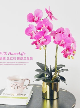 PU环保手感高级蝴蝶兰假花仿真花盆栽高档电视柜装饰摆件客厅轻奢