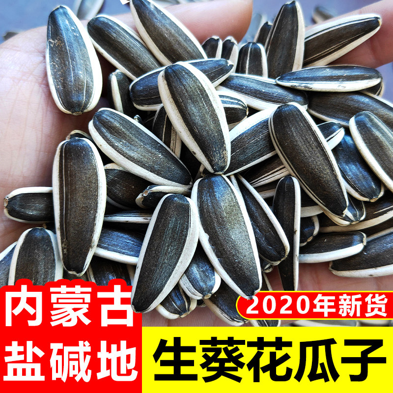 河套内蒙古葵花籽散装孕妇生瓜子