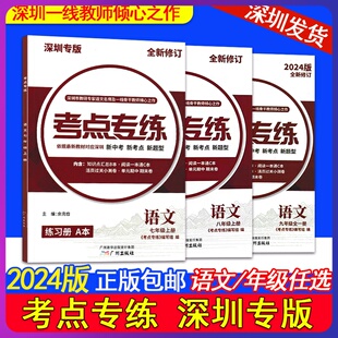 深圳专版考点专练语文同步练习七八九年级上下册部编2024版人教版