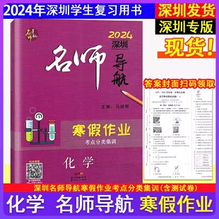 2024新版 名师导航 寒假作业化学九年级 考点分类集训期末总复习深圳专版