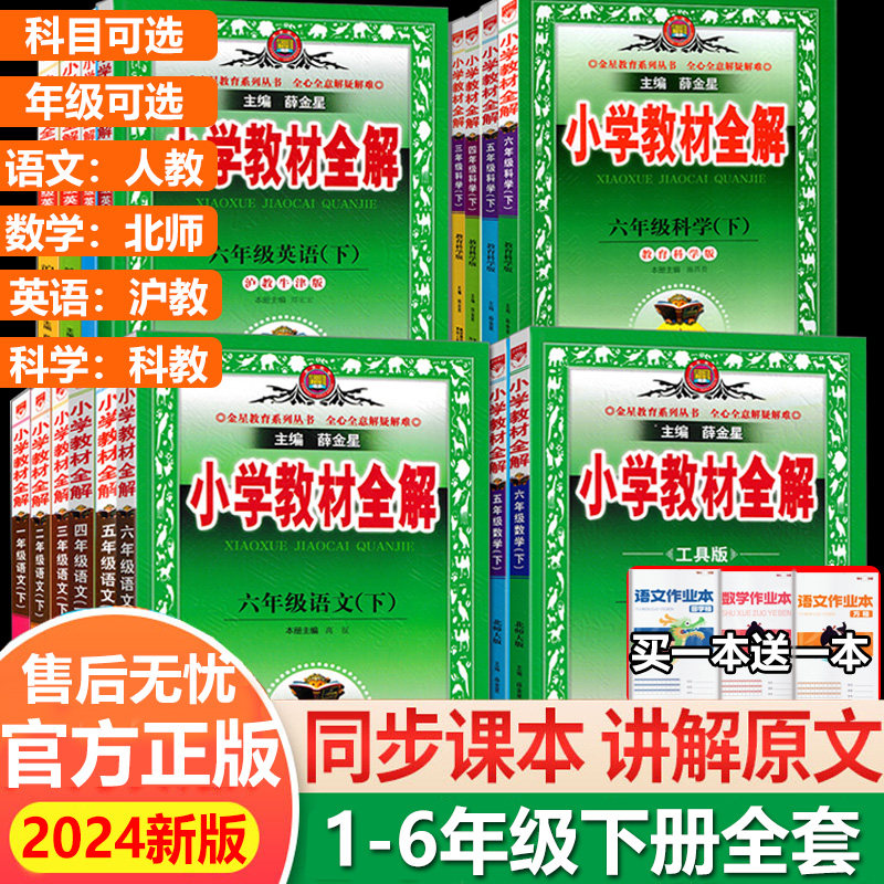 【深圳专版】2024春新版薛金星教材全解一二三四五六年级下册语文人教