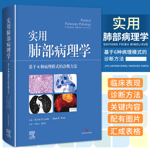 实用肺部病理学基于6种病理模式的诊断方法史景云上海科学技术出版社供病理科医生肺科医生阅读参考影像医学病理学-封面