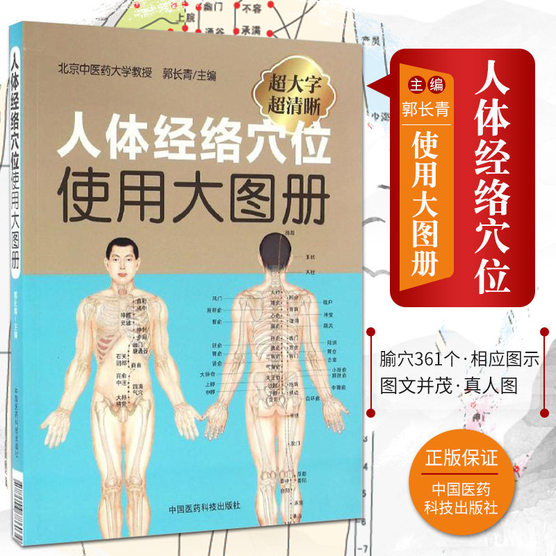 人体经络穴位图标准大图册 郭长青中医养生人体经络穴位图解书 中医