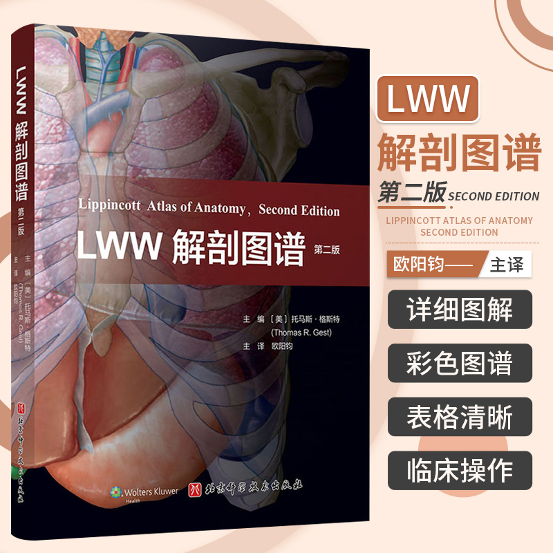 lww解剖图谱丰富头部五官颅内