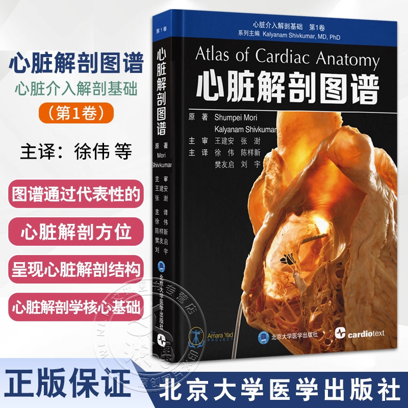 正版 心脏解剖图谱 心脏介入解剖基础第1卷 徐伟 陈样新 樊友启 刘宇 心脏人体解剖学图谱解剖学 北京大学医学出版社9787565934766
