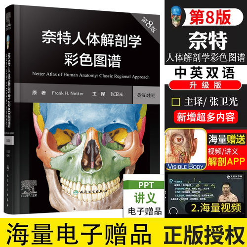 奈特人体解剖学彩色图谱第8版