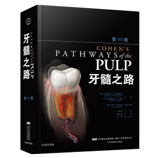 包邮正版 牙髓之路第11版十一版牙体牙髓病学牙髓治疗后冠部修复口腔医学书籍牙髓显微外科治疗技术牙髓根管治疗图谱9787559107954