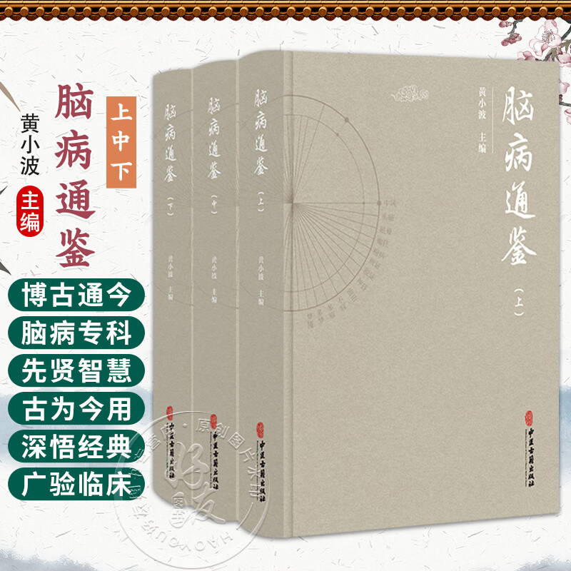 正版全3册 脑病通鉴 上册中册下册 黄小波 主编 中医古籍医学书籍 临床医学 脑髓病证眩晕病因病机等 中医古籍出版社9787515222325