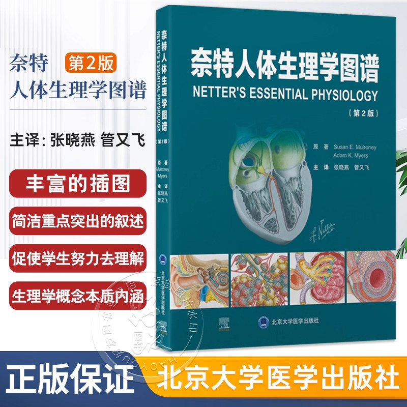 奈特人体生理学图谱 第2二版 张晓燕 管又飞 以丰富的插图和简洁重点突出的叙述帮助读者理解生理学概念的本质 北京大学医学出版社